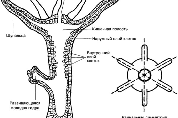 Ссылки тор браузер вернисаж