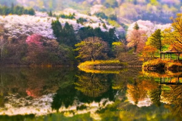 Кракен актуальные выставки