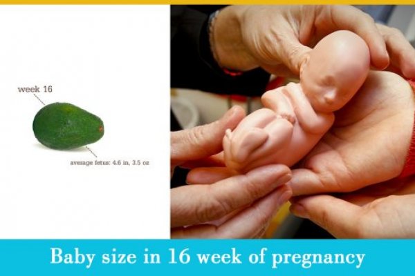 Кракен онлайн картины