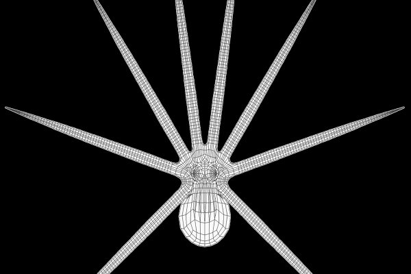 Кракен нов картины