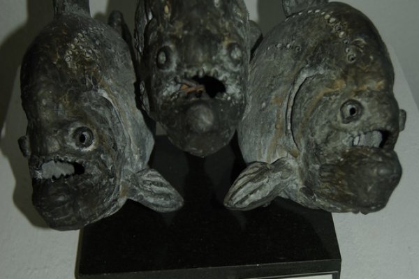 Кракен только через выставки