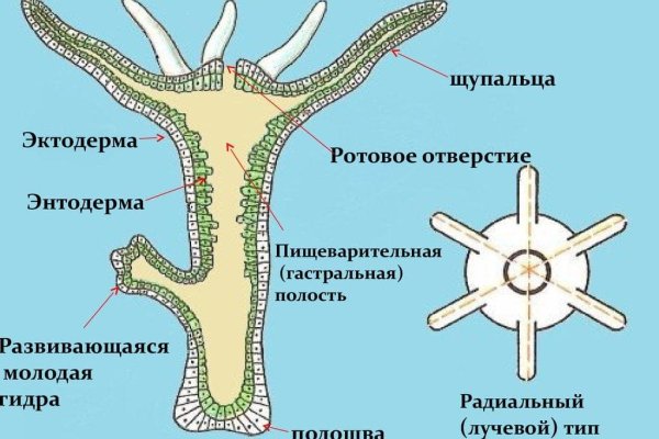 Krab5 at актуальное искусство