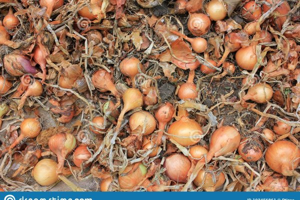 Кракен через тор художественная галерея