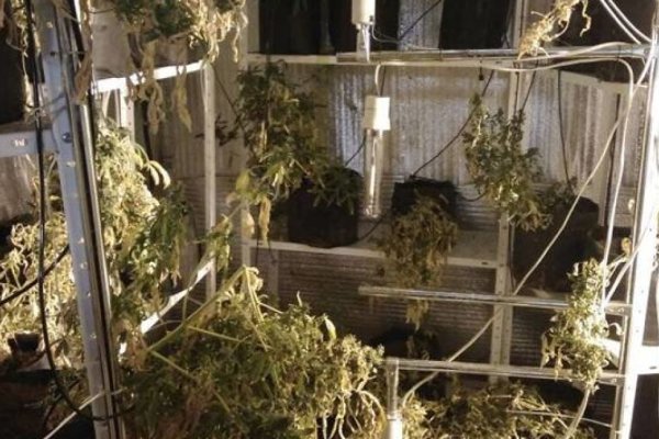 Кракен сайт ссылка арт галерея