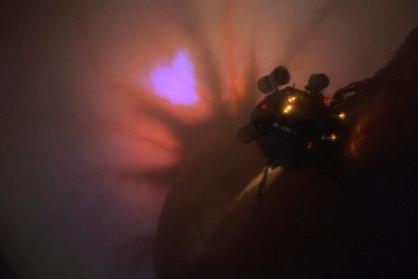 Krab4 at тематические выставки