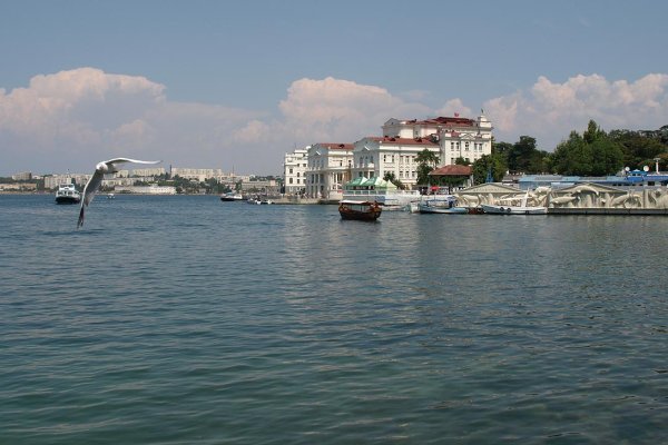 Krab7 cc анималистика живопись