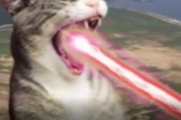 Вход kraken арт пространство