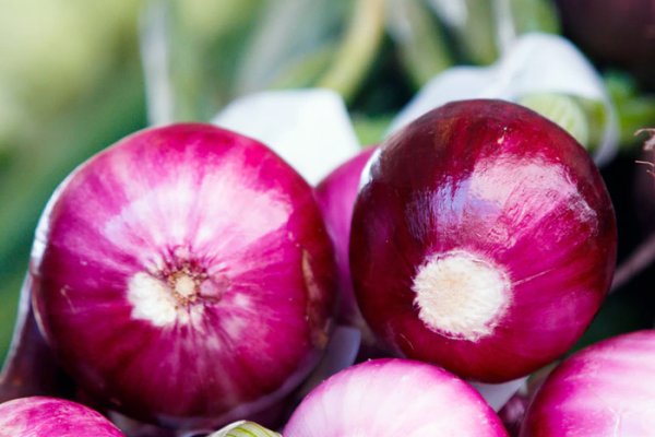 Кракен kraken искусство