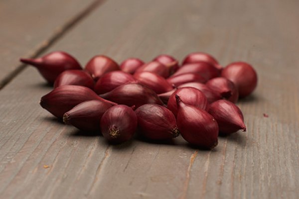 Где купить кракен выставки