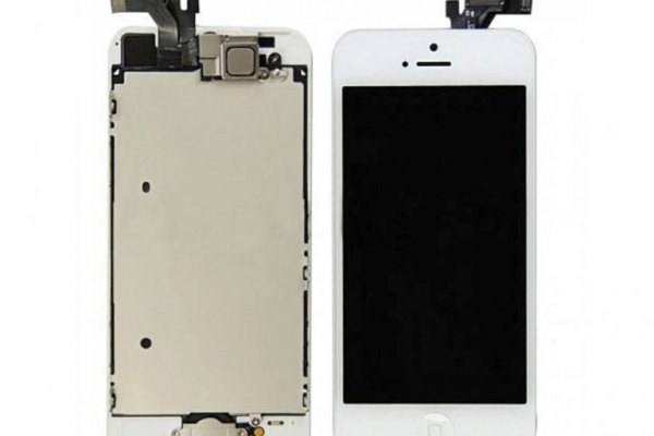 Только через тор кракен выставки