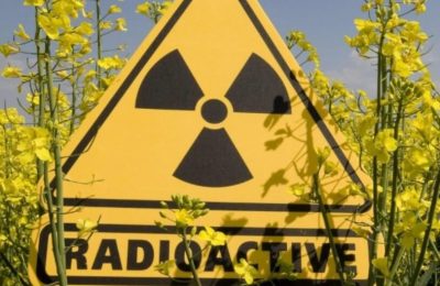 Кракен актуальные картины