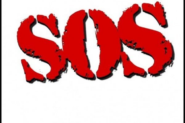 Площадки kraken экспозиции