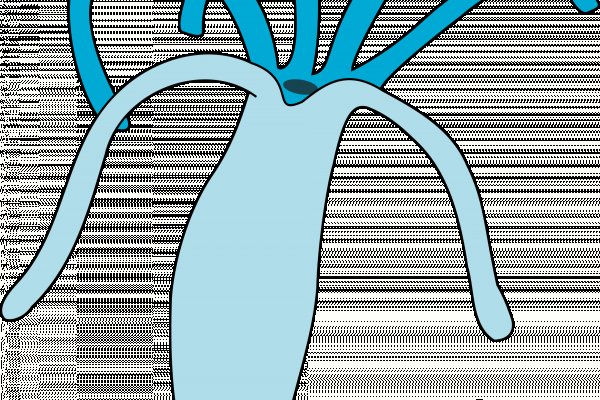 Кракен маркет только через тор арт галерея