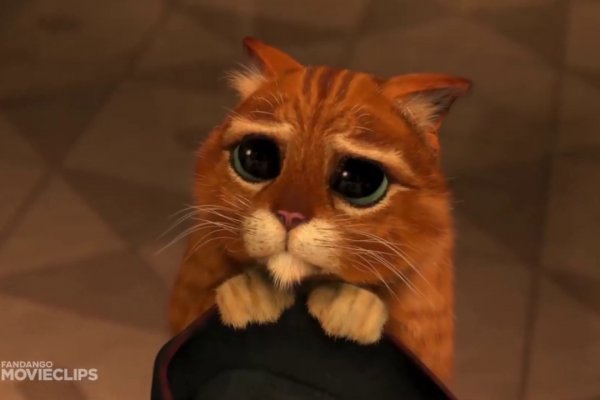 Krab10 cc фотографии купить