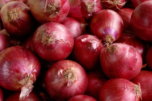 Krab7 at творческое пространство