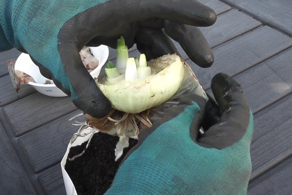 Кракен ссылка официальная картины