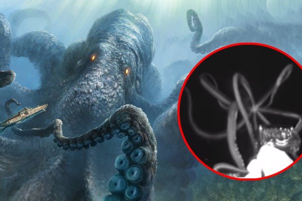 Krab7 cc живопись купить