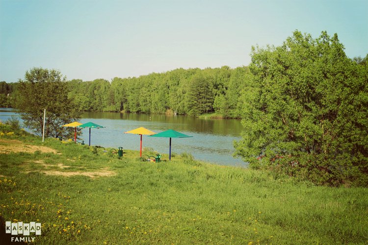 Кракен зеркало коллекция картин инвестиции искусство