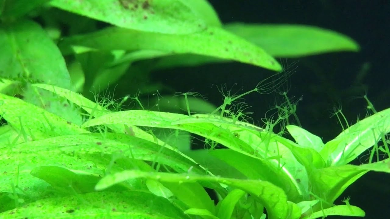 Ссылки тор браузер современное искусство